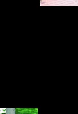 সাপোর্ট চাই সবার 