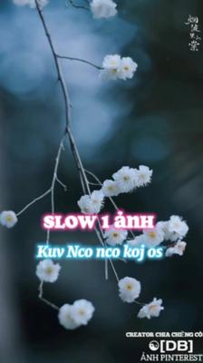 Hmoob Slow xịn màu