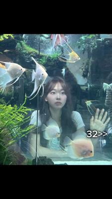 자신의 브롤 주 캐릭터를 소개하세요!
