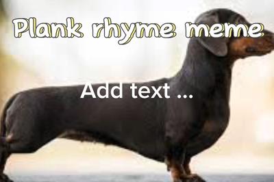Plank rhyme meme
