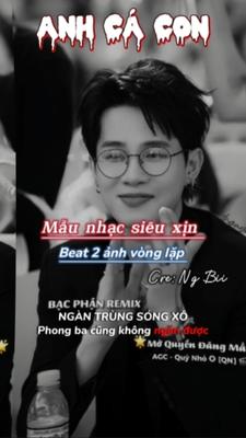 Anh Cá Con