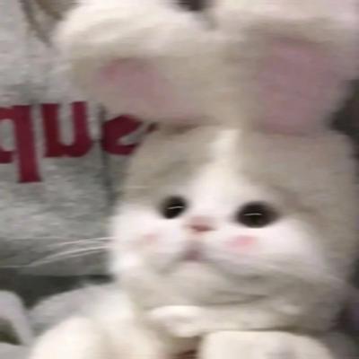 후라이의 꿈