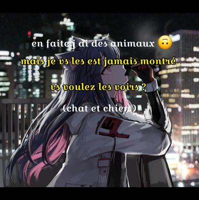 chien et chat