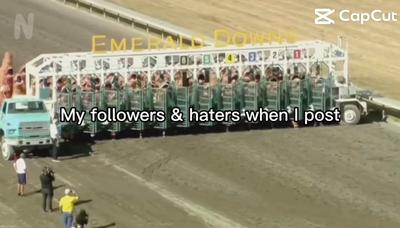 Followers & haters